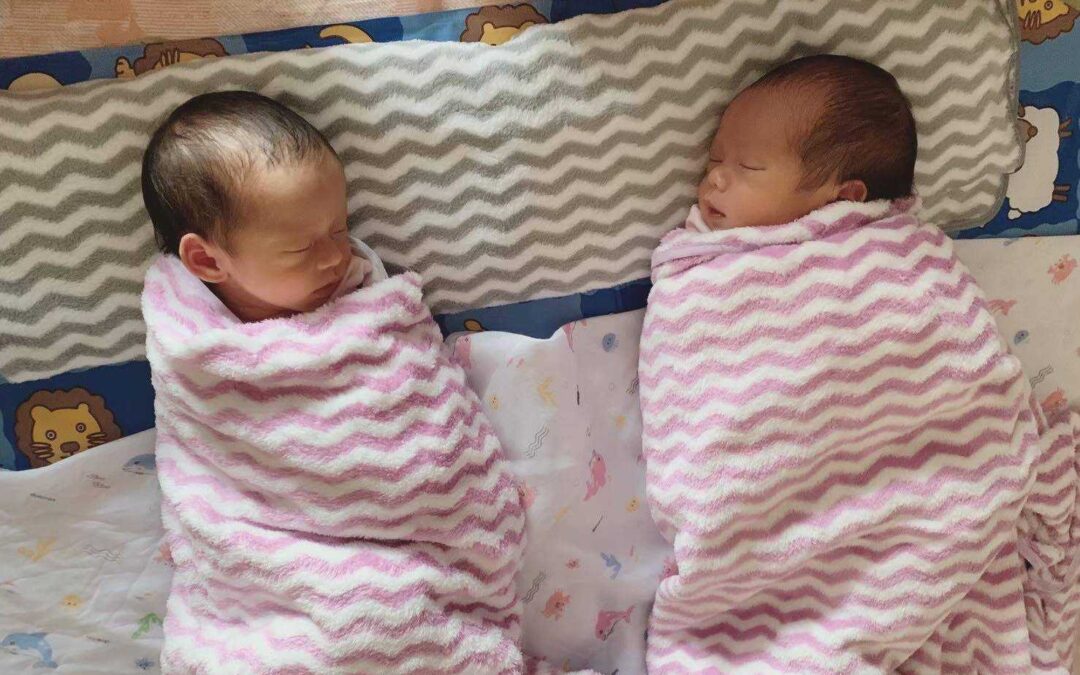 น้องแฝด ช ญ คลอด 19 กุมภาพันธ์ 2566 ช (ขวามือ) ชื่อ น้องผักกูด ญ (ซ้ายมือ) ชื่อน้องผักกาด