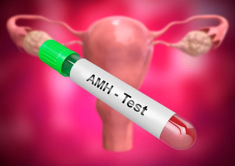 การตรวจดูการทำงานของรังไข่ ANTI-MULLERIAN HORMONE (AMH)